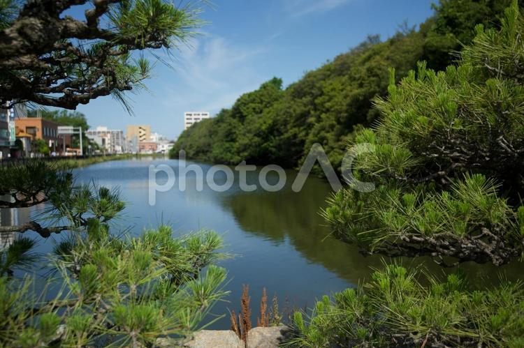 明石城公園のお堀 明石城公園,お堀,明石の写真素材