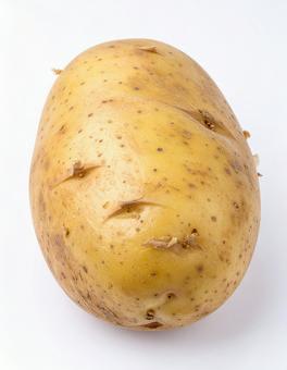 白い背景に皮付きのじゃがいもの写真