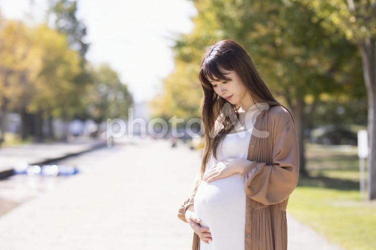 マタニティ／妊婦のイメージ 妊婦,妊娠,マタニティの写真素材