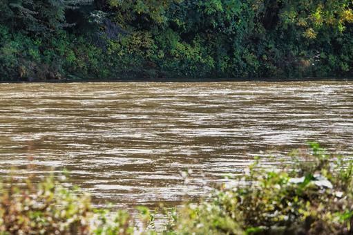 増水した茶色の川面 川,濁流,水の写真素材