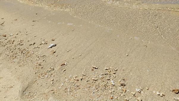 サンゴの砂浜の波打ち際 サンゴの砂浜の波打ち際 砂浜,波打ち際,透明の写真素材