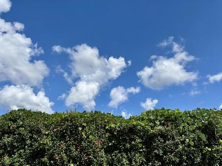 空の景色 空の景色の写真