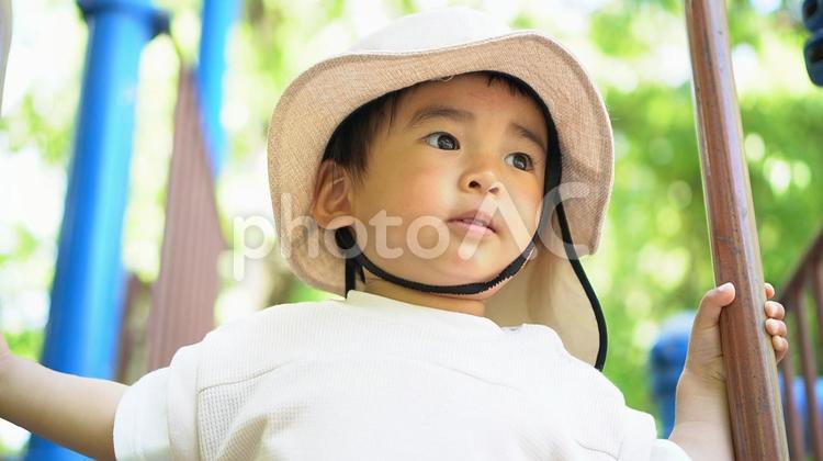 だんご虫を探しに2 赤ちゃん,ベビー,asianの写真素材
