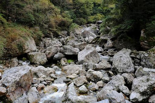 岩屋川渓谷 仁淀川水系上流4 岩屋川渓谷 仁淀川水系上流4の写真