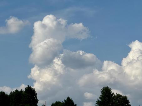 Photo, vacía, nube, una araña, 