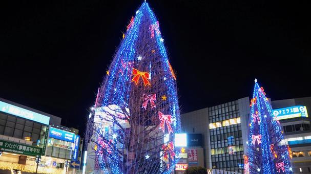 所沢駅・駅前のクリスマスツリー（所沢市） 冬,クリスマス,イルミネーションの写真素材