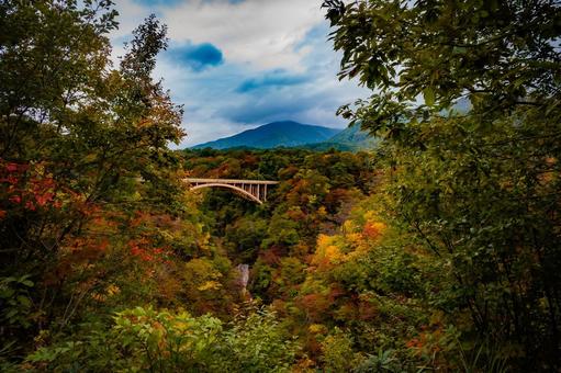 宮城県　鳴子峡の秋の風景 宮城,宮城県,大崎市の写真素材