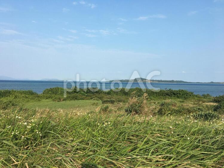 西表島の海岸 何人もありません,自然,水域の写真素材