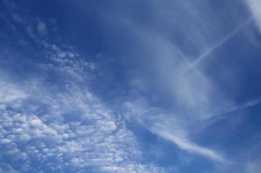 青空 雲 青空 雲の写真