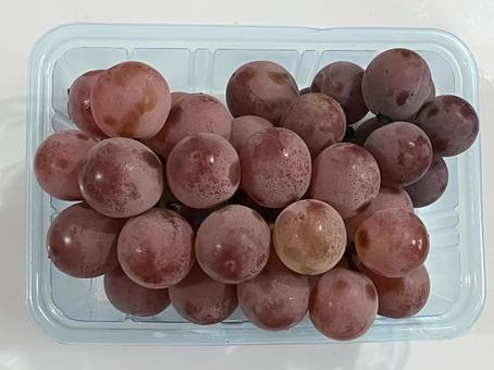 ぶどう 安芸クイーン ぶどう 安芸クイーンの写真