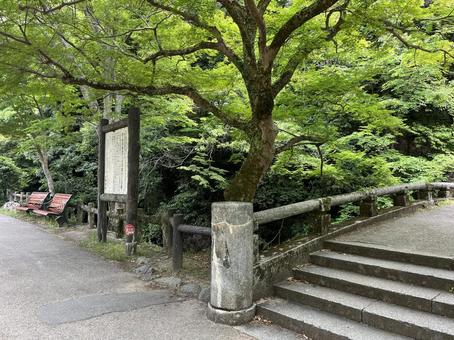 明治の森 箕面国定公園 明治の森 箕面国定公園の写真