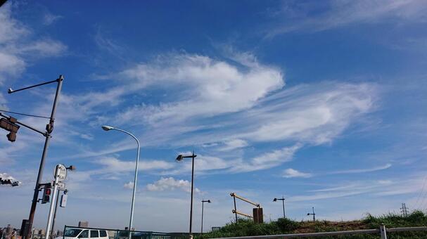 青空に舞う鳥 青空に舞う鳥の写真