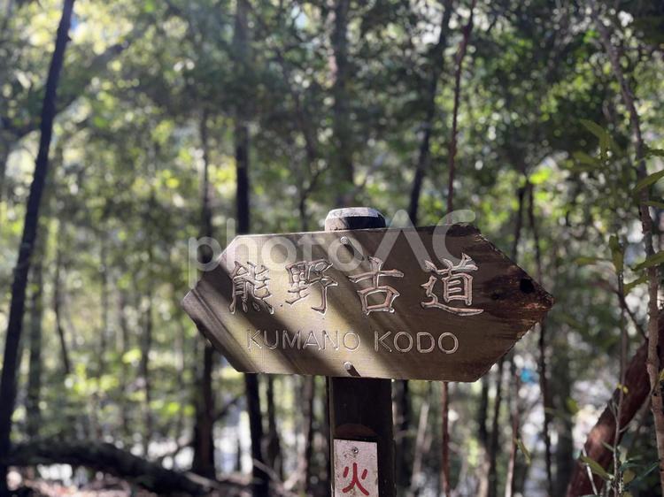 熊野古道 熊野古道,世界遺産,和歌山県の写真素材
