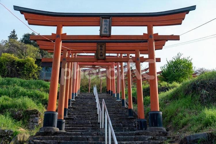 浮羽稲荷神社 浮羽稲荷神社,うきは市,神社の写真素材
