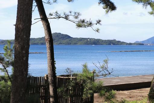指月公園 散策中に見える海 指月公園 散策中に見える海の写真