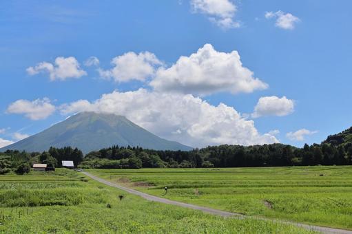 夏の大山と田園風景 1 夏の大山と田園風景 1の写真