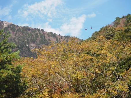 紅葉の山と青空とロープウェイ 御在所,山,三重の写真素材