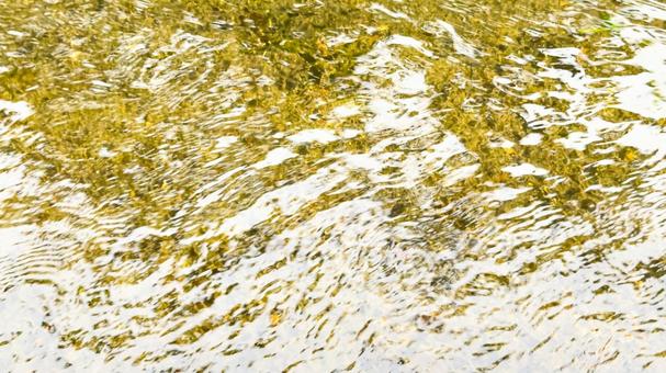 キラキラした川の流れ キラキラした川の流れの写真