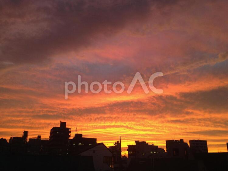 どうしようもないくらい　こみ上げるオレンジ 夕暮れ,夕闇,夕方の写真素材