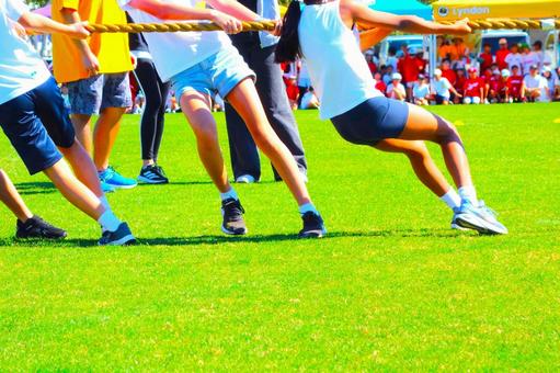 運動会の綱引き 運動会の綱引き 運動会,綱引き,体育祭の写真素材