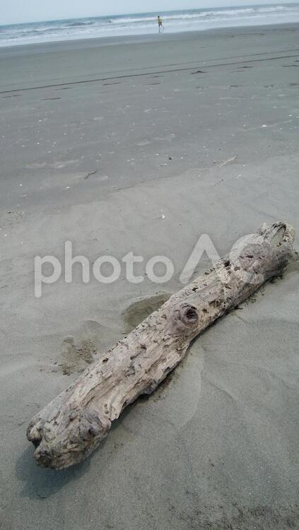 打ち上げられた流木 砂,浜,水域の写真素材