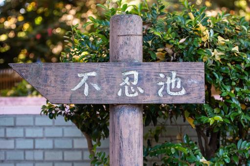 不忍池の案内 不忍池,案内,上野の写真素材