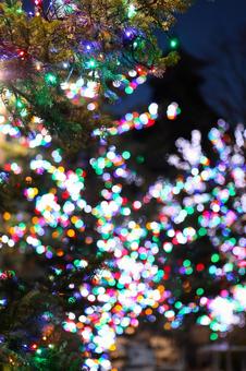 イルミネーション 1203 02 イルミネーション,光,電球の写真素材