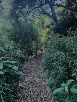 Photo, mountain path, natural, landscape, 
