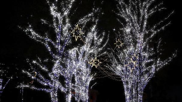 虹の郷　イルミネーション イルミネーション,クリスマス,夜景の写真素材