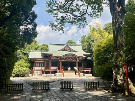 吉祥寺_武蔵野八幡宮 吉祥寺_武蔵野八幡宮 吉祥寺,八幡神社,武蔵野八幡宮の写真素材
