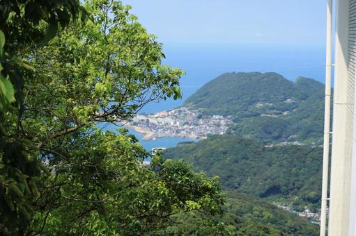 木々の隙間から望む海辺の街 海,山,港町の写真素材