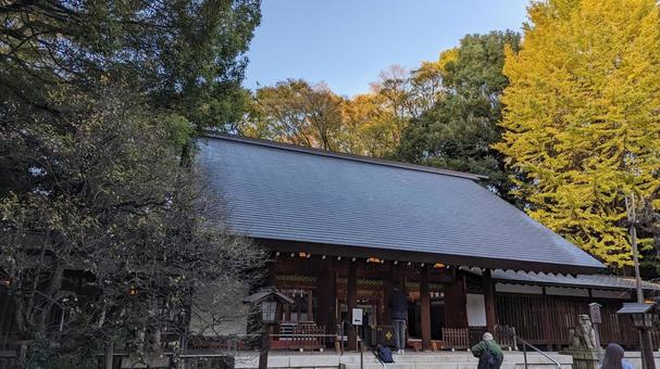 乃木神社 拝殿 乃木神社,乃木希典,乃木坂の写真素材