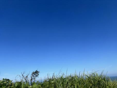 青のグラデーションの写真