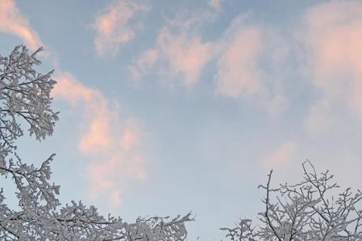 冬の朝の空 朝焼け,冬,空の写真素材