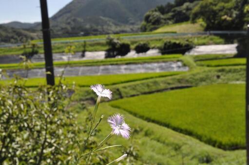 田園風景 田園風景の写真