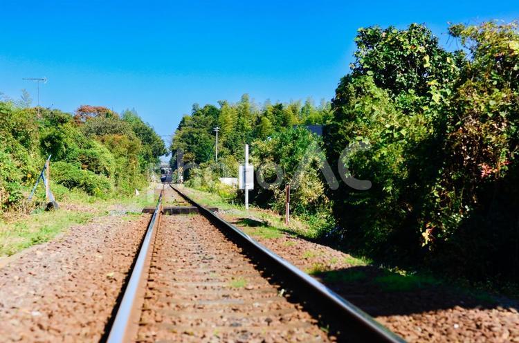 真っ直ぐに延びる単線の線路 線路,鉄道,交通の写真素材