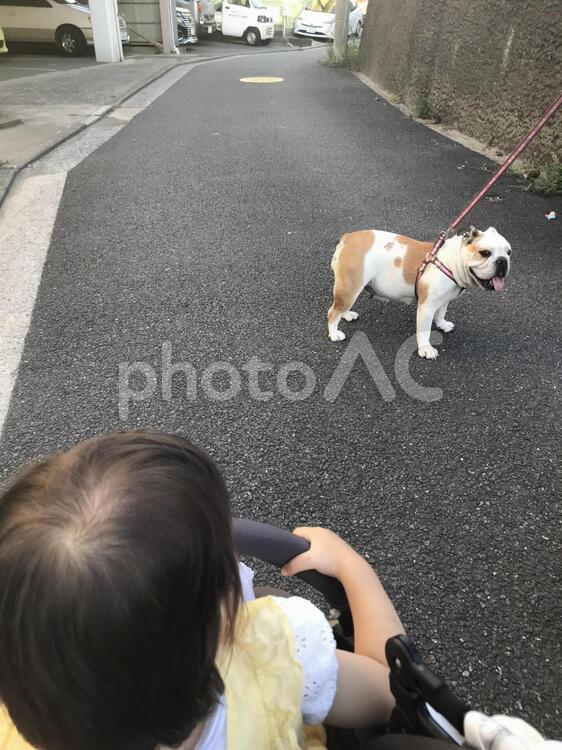 散歩 散歩,歩く,ベビーカーの写真素材
