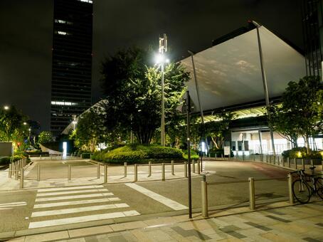 東京駅 東京駅の写真