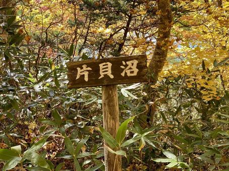 片貝沼 片貝沼 蔵王,紅葉,景色の写真素材