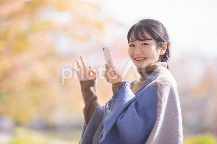 秋の公園でスマホを使う女性 スマホ,スマートフォン,女性の写真素材