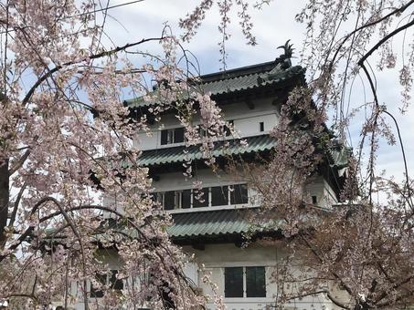 弘前城1 弘前城1 弘前城,城址,現存天守の写真素材