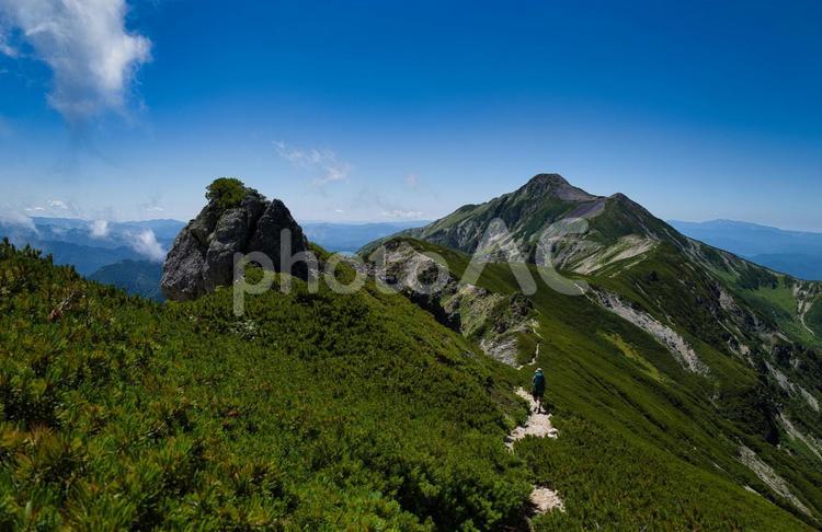 笠ヶ岳　北アルプス　登山 縦走,笠ヶ岳,アウトドアの写真素材