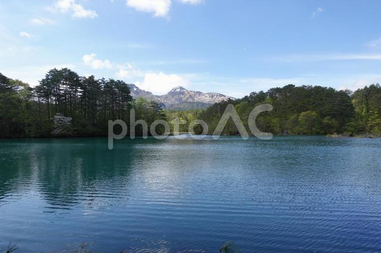 裏磐梯　五色沼　毘沙門沼　磐梯山　5月 裏磐梯,五色沼,磐梯山の写真素材
