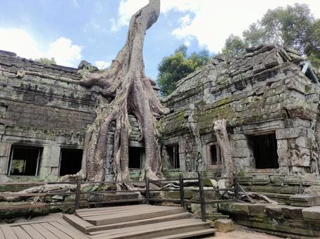 タ・プローム 有名なフォトスポット タ・プローム,タプローム,海外の写真素材