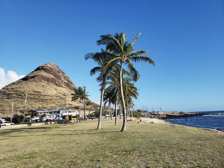 海辺にやってきた 海辺にやってきた 夏,ビーチ,海の写真素材