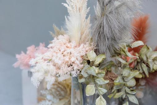繊細なドライフラワー 繊細なドライフラワーの写真