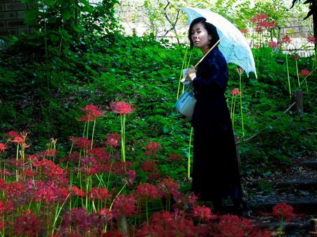 40:彼岸花を静かに眺める女性 40:彼岸花を静かに眺める女性 彼岸花,ミステリアス,悲しげの写真素材