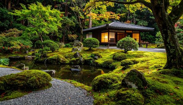 日本庭園 日本庭園の写真