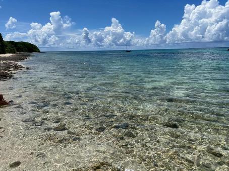 透き通る海 透き通る海 沖縄,石垣島,海の中の写真素材