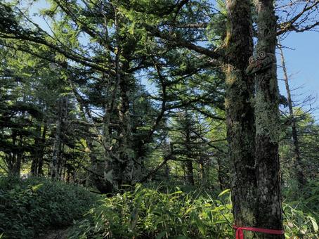 大泉山山頂 大泉山山頂 大泉山,山頂,山の写真素材